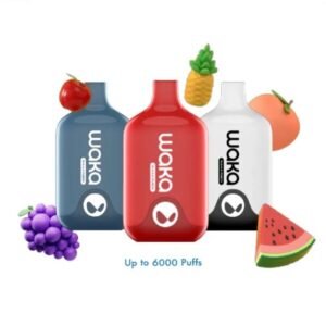 Waka Smash 6000 Puffs( 25 Pack)